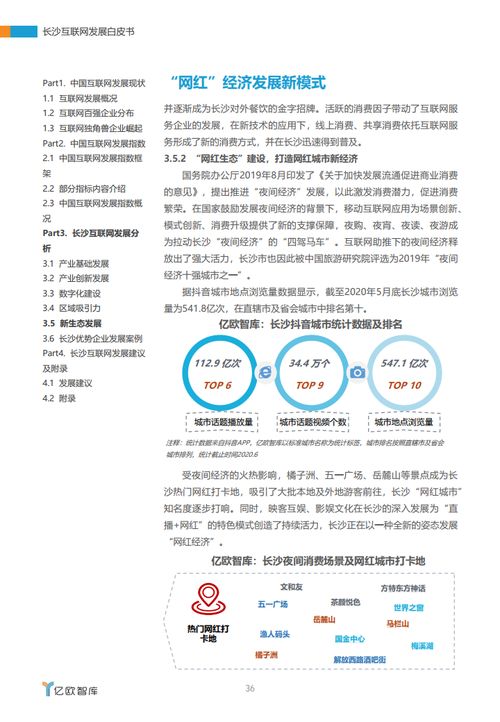 湘江潮涌 2020年長(zhǎng)沙互聯(lián)網(wǎng)發(fā)展白皮書中的軟件與開發(fā)力量